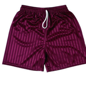 Shadow Stripe Shorts BY ZECO