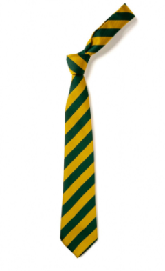 Oakwood School Tie